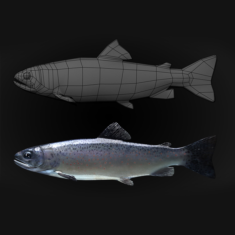 Trout model for animation
