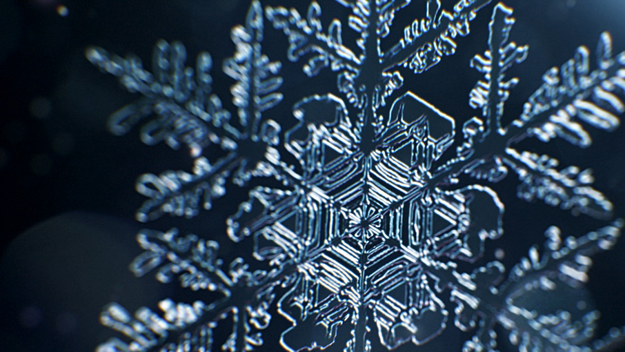 Snowflake Growth Animation